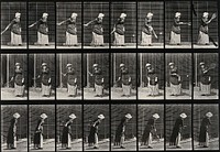 A woman hitting a tennis ball. Collotype after Eadweard Muybridge, 1887.