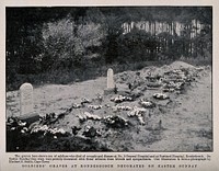 Boer War: soldiers' graves at Rondesbosch decorated with floral tributes for Easter. Halftone, c. 1900, after H. S. Smith.