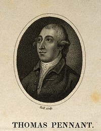 Thomas Pennant. Stipple engraving by Holl after T. Gainsborough, 1776.