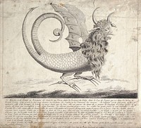 The "Peruvian harpy": a harpy with two tails, horns, fangs, winged ears and long wavy hair. Etching attributed to L.A. Boutelou, 1784.