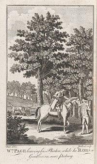 The new and complete Newgate calendar; or, villany displayed in all its branches ... Containing ... narratives ... of the various executions and other exemplary punishments ... in England, Wales, Scotland and Ireland, from the year 1700 to the present time / by William Jackson.