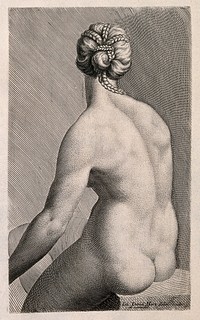 A young nude woman sitting: back view. Engraving by J.D. Herz after himself, c. 1732.