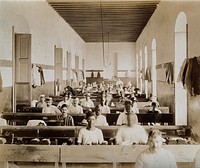Tobacco factory, Industrial Corner, Barcelona St., Cuba: a view of the interior, showing men seated at rows of desks, rolling cigars. Photograph, 1902.