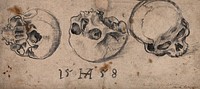 A skull: three views. Pencil drawing by Heinrich Appenzeller, 1558.