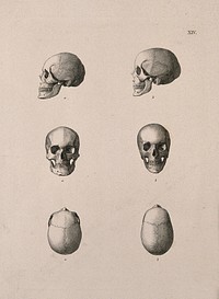Human skulls: six figures. Etching, 18--.