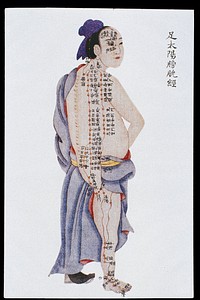 Bladder channel of leg taiyang, C17/18 Chinese book art