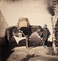 Takaido, Japan: a pack pony wearing straw shoes with its leader. Coloured photograph by Felice Beato, ca. 1868.