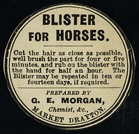 Blister for horses... / prepared by G.E. Morgan.