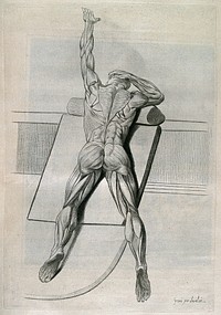 An écorché figure lying prone on a table, with left arm extended and right hand clasping its head. Crayon manner print by Lavalée, after J. Gamelin, 1778/1779.