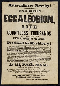 Extraordinary novelty! : exhibition of the Eccaleobion whereby life in countless thousands of animal beings, from a wren to an eagle, is produced by machinery... : at 121 Pall Mall.