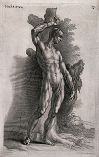 The flayed Marsyas is tied to a tree with his skin hanging over a branch of the tree. Line engraving with etching by R. Collin after J. von Sandrart.