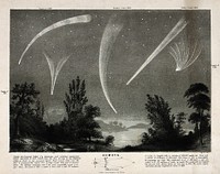 Astronomy: comets in a night sky. Engraving.