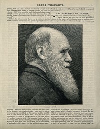 Charles Robert Darwin. Wood engraving.