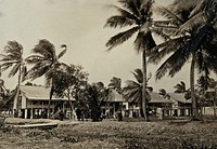 Leper asylum, Guyana (formerly British Guiana): wooden residences for male patients. Photograph, 1880/1900.