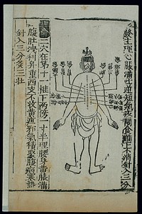 Acu-moxa chart, back of the prone figure, Chinese woodcut