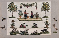 Separate pictures of garden fruit, flowers, vegetables, birds, dogs and two monkeys dressed as gardeners. Coloured etchings, 18th century.