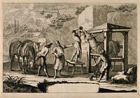 A horse-doctor and his assistants administer medicine to a horse restrained in an outdoor stall, observed by a man with two horses. Etching, 1730/1790.