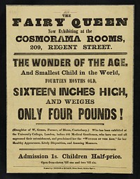 The Fairy Queen : now exhibiting at the Cosmorama Rooms, 209, Regent Street : the wonder of the age, and smallest child in the world, fourteen months old, sixteen inches high and weighs only four pounds!.