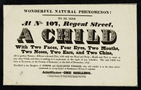 [Leaflet advertising appearances by A CHILD with two faces, four eyes, two mouths, two noses, two ears, and two chins born on 23 December 1827 on display at 107 Regent Street, London].