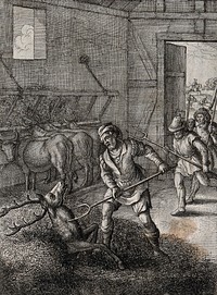 A stag hiding in a haystack is discovered by the pitchfork of the farmhand; illustration of a fable by Aesop. Etching.