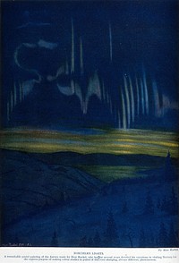 Astronomy: the Aurora Borealis, with pine trees in the foreground. Colour process print after by M. Raebel, 1909.