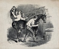 Three grooms taking care of horses and the stable. Lithograph.