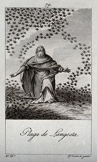 The plague of locusts. Engraving by J.F. Castro after A. Martinez.