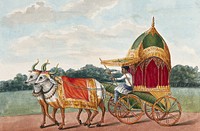 A man driving a covered, canopied carriage, pulled by a pair of oxen. Gouache painting by an Indian artist.