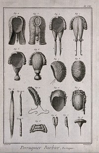 A variety of wigs. Engraving by R. Bénard after J.R. Lucotte, 1762.