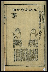 Pulse chart showing correspondences with zang and fu viscera