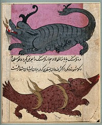 Two fantastical beasts. Gouache painting by an Persian artist .