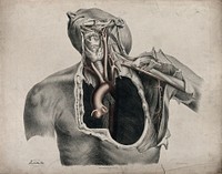 The circulatory system: dissection of the neck, shoulder and thorax of a man, with aorta, arteries and blood vessels indicated in red. Coloured lithograph by J. Maclise, 1841/1844.