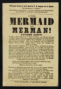 [Leaflet advertising an appearance of a real mermaid and merman (caught off Terra del Fuego). Location not disclosed but printed in Lambeth (Phoenix Printing Office)].