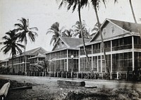 Panama Canal Zone: large 'mosquito-proofed' houses with screened porches. Photograph, ca. 1910.