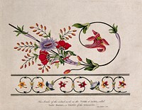 Fac-simile of the inlaid work on the tomb at Agra, called Taje-Mahal, or Crown of the Seraglio. Coloured aquatint after J. Forbes, 1781.