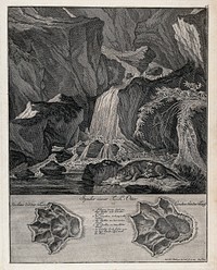 Above, an otter drinking from a stream with a waterfall in the background, below, the otter's tracks. Etching by J. E. Ridinger.