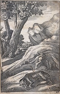 A tiger lies in the foreground shot by an archer who appears between the trees; illustration for a fable by J. Ogilby. Etching after W. Hollar.