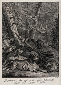 Two armour-clad hunting dogs resting next to a speared wild boar in a forest. Etching by J. E. Ridinger.