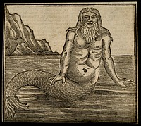A merman, by the sea. Woodcut.