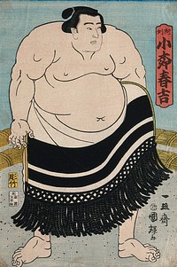 A wrestler in a ring facing right and wearing a formal apron. Colour woodcut by Kuniteru, 1866.
