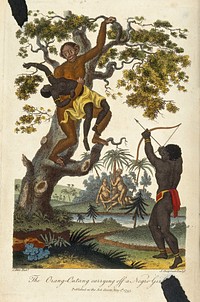 An orang-utan carrying a girl into a tree as a man shoots arrows from below. Coloured engraving by J. Chapman, ca. 1795, after J.B. Ihle.