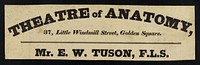 Theatre of anatomy, 37, Little Windmill Street, Golden Square : [fragment] / Mr. E.W. Tuson, F.L.S.