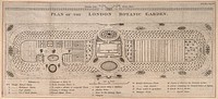 The London Botanic Garden, Chelsea: plan view with a key describing several areas of the garden. Engraving.