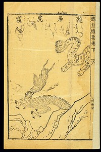 Daoyin exercises: The Intercourse of Dragon and Tiger, Pose 8