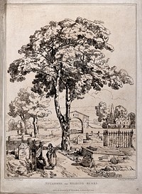 Sycamore tree (Acer pseudoplatanus L.) in a graveyard near Reading, Berkshire. Soft-ground etching by W. Delamotte, c. 1806, after W. Havell.
