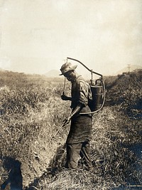 Miraflores, the Panama Canal Zone: a West Indian man sprays larvicide into a ditch as part of a mosquito control programme implemented during the construction of the Panama Canal. Photograph, 1910.