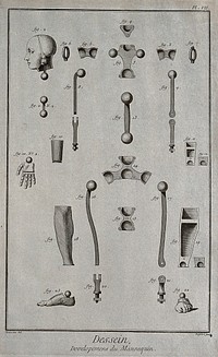 The components of a lay figure. Engraving by Defehrt after L.J. Goussier.