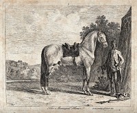 A soldier standing next to a tent is holding a horse by the reins. Etching by S. Gilpin.
