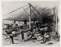 Cattle sleeping in a barn. Etching by A. Lançon, 1871.