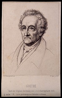 Johann Wolfgang von Goethe. Etching by W. Unger, 1882, after Carl August Schwerdgeburth, 1831.